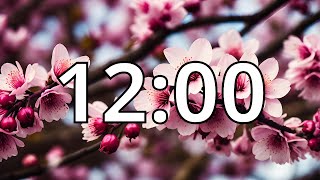 12 Minutes Timer with Music  Cherry Blossom Timer [upl. by Nella]