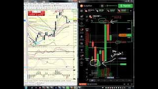 FOREX SCALPING  MT4 PLANTILLA GANADORA  RENTABILIDAD ÚNICA ESTRATEGIA [upl. by Hselin92]