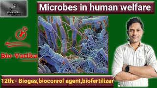 Bio vatika  class 12th  lacture3  Microbes in human welfareIIbiogas bioconrol agent bioft [upl. by Cosimo]