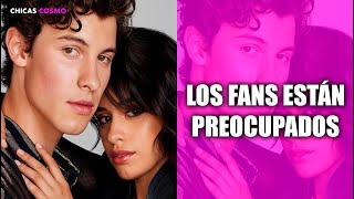 SHAWN MENDES y CAMILA CABELLO se SEPARARON [upl. by Eiralav]