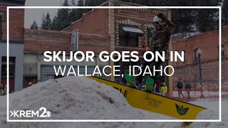 Skijoring goes on in Wallace Idaho [upl. by Hambley]