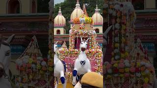 Top Rath festival viral yt ytshorts viralreels viralshorts minivlog shortsvideo shorts [upl. by Yerffeg]