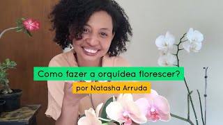 Como fazer minha orquídea florescer [upl. by Varhol42]