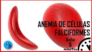 ANEMIA DE CÉLULAS FALCIFORMES EN 5 MINUTOS [upl. by Eseer]