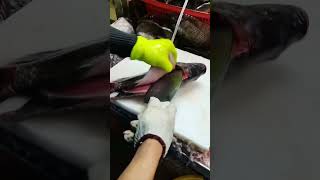 Fish fast cutting and cleaning Tilapia JalebiFish Nilotica shorts fishshorts fishcleaning [upl. by Aleacim]