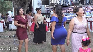 Vamos a bailar a la boda [upl. by Agnot545]