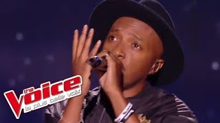 Soprano  Coeurdonnier  The Voice France 2017  Finale [upl. by Ynattir]