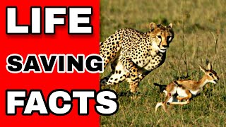 Life Saving FactsPart1Fact2Fact Shorts [upl. by Tiertza927]