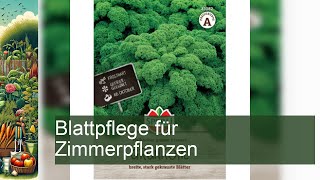 Blattpflege für Zimmerpflanzen [upl. by Alex510]