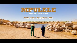 Veezo View Ft William Last KRM  MPULELE OFFICIAL MUSIC VIDEO [upl. by Ettolrahc]