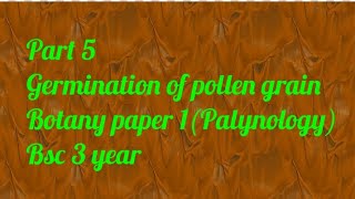 Part 5 germination of pollen grain Bsc 3 year paper 1 Palynology [upl. by Aip]