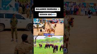 Hoygii fardaha degamdii xudun🐎🐎 jamahirtamedia 📹🤳suldanmedia [upl. by Satsoc]