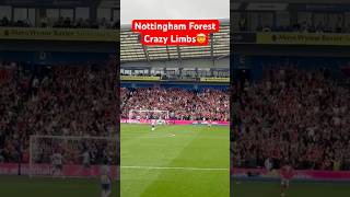 Incredible Limbs From The Forest Fans🤯 limbs brightonandhovealbion nottinghamforest [upl. by Eerol]