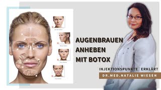 Mit Botox Augenbrauen anheben  Eyebrow Lifting  einfach erklärt von Drmed Natalie Wiesen [upl. by Means]