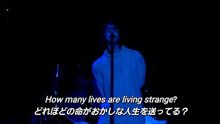 【和訳】Oasis  Champagne Supernova Live at Knebworth [upl. by Saleem]