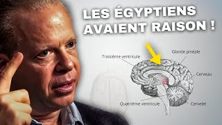 ÉTUDE CONFIRMÉE  Cet expert en neuroscience montre comment activer le troisième œil [upl. by Gaudet]