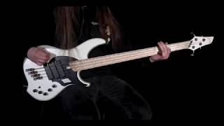 Discrepancies  Undertow Bass Playthrough [upl. by Gnuhc]