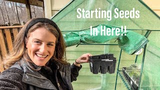 How To Start Seeds In An Unheated Greenhouse  What To Grow In A Mini Greenhouse [upl. by Aeriel]