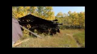 Frazer Cabin Golden Gate State Park Colorado [upl. by Alledi]