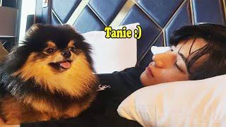 BTS with YEONTAN Dont fall in love with YEONTAN Challenge [upl. by Garry]