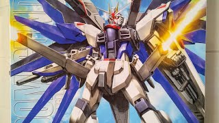 Gundam Seed Strike Freedom MG 1100 Bandai 2004 Unboxing Review [upl. by Sybley]