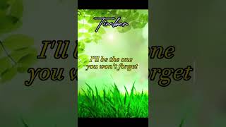 Timber lyrics Pitbull amp Kesha timber lyrics pitbull [upl. by Nhepets]