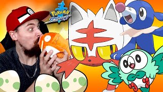 Shiny Flamiau Bauz amp Robball Hunten  Pokemon Schwert amp Schild Livestream [upl. by Wartow]