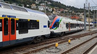 SBB Stadtbahn Zug und Tilo Flirt abfahrt in Bellinzona [upl. by Hplodnar]