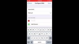 How To Manually Configure DNS on iPhone and iPad [upl. by Remington]