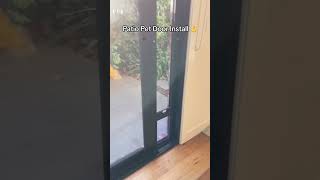 This is life changing Dog door for your sliding door dogs dogsofaustralia cutepet cutepuppy [upl. by Riana748]