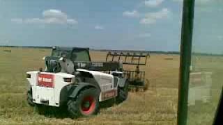 Bobcat telehandler at work [upl. by Nitsug]