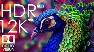 12K HDR 120fps Dolby Vision with Calming Music Animal Colorful Life [upl. by Rexfourd]