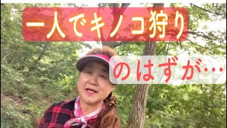 10種類以上のきのこ🍄のご紹介❣️食べれるイグチと食べれないイグチ⁉️ [upl. by Phyllis86]