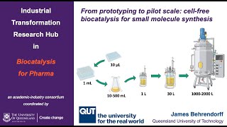 Webinar 7  Prototying to pilot scale [upl. by Nairde346]