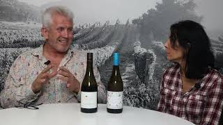 Stu Devine of Devine Wine in New Zealand on Hawkes Bay vs Marlborough [upl. by Nonnaehr693]