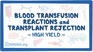 Blood transfusion reactions and transplant rejection Pathology Review [upl. by Relly190]