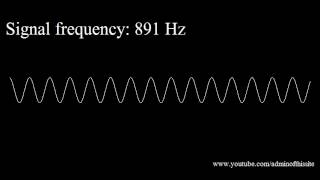 20Hz to 20kHz Human Audio Spectrum [upl. by Mendez]