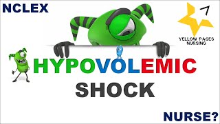 Hypovolemic Shock  Classification [upl. by Kleper757]