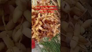 islamicshortvideo wazbangla wazmahfil banglaislamicwaz waztime24 waz wazmahfilvideo2023 rels [upl. by Rea]