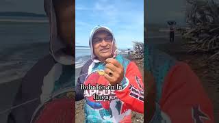 ROBALÓN en la líne  pesca desde la playa con lisa viva pesca [upl. by Ahsieat]