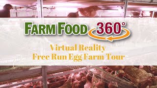 360° Canadian FreeRun Egg Farm Tour [upl. by Enaillil232]