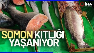 Norveç Somonu 220 Liradan Yerli Somon 150 Liradan Satılıyor [upl. by Welbie137]