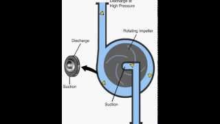 pompe centrifuge [upl. by Budding]