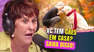 Os CÃES e a ESPIRITUALIDADE  Márcia Sensitiva [upl. by Bean]