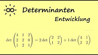 Determinanten  Teil 4  Entwicklungssatz von Laplace  Beispielrechnung [upl. by Kata267]