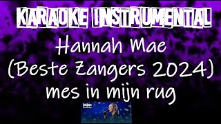 Hannah Mae Beste Zangers 2024  Mes in mn rug  instrumental met tekst [upl. by Ray]