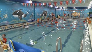 Goldfish Swim School teaches water safety to kids and adults across Northeast Ohio [upl. by Jacinthe]