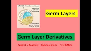 Gastrulation lGerm Layers l Germ layer derivatives l Ectoderm l Mesoderm l Endoderm l Mnemonics l [upl. by Lak]