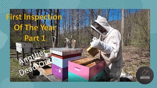 First Hive Inspection Of The Year Part 1 Have We Lost Another Hive [upl. by Sairacaz]