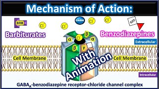 Barbiturates and Benzodiazepines Mechanism of action with animation [upl. by Naujled]